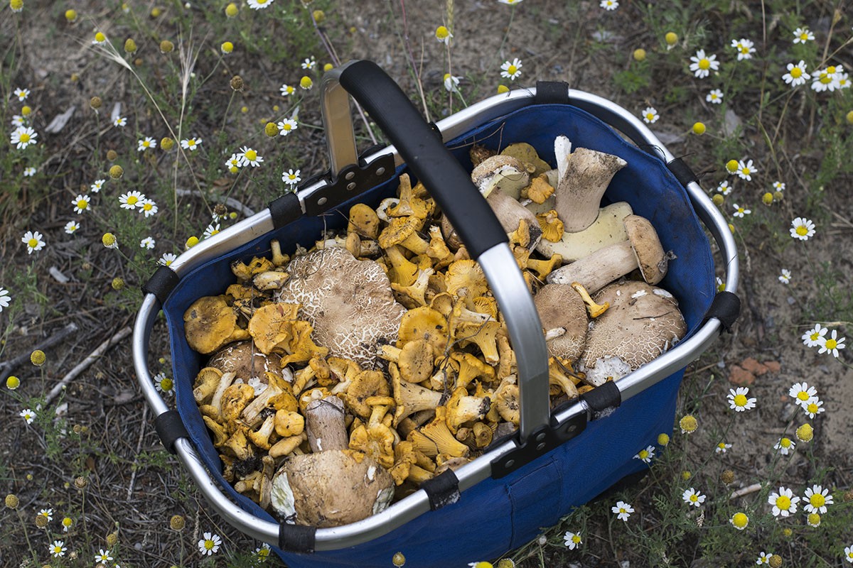 http://s2.moifotki.org/2b36e8d803334ad3323bf9c8054b2b50.jpeg