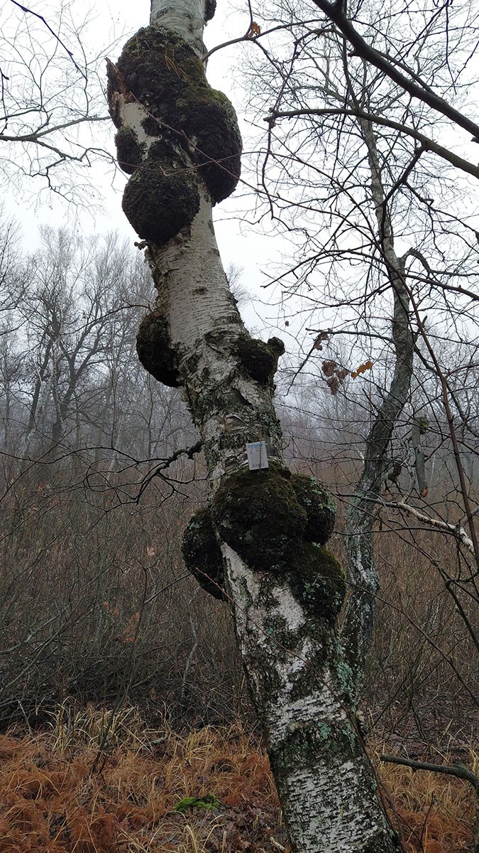 http://s2.moifotki.org/b93a1b805119a0b65dd97bd9a34cf2b5.jpeg