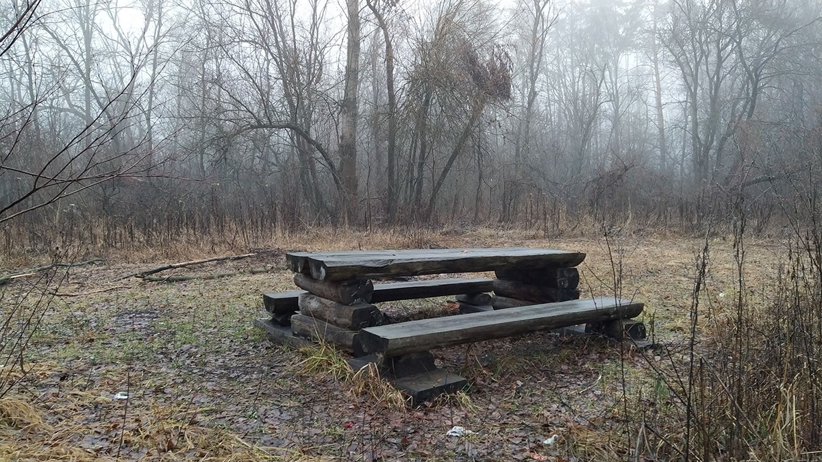 http://s2.moifotki.org/c4f6fbcd9f3807a4b3cf8dbaea41d83c.jpeg